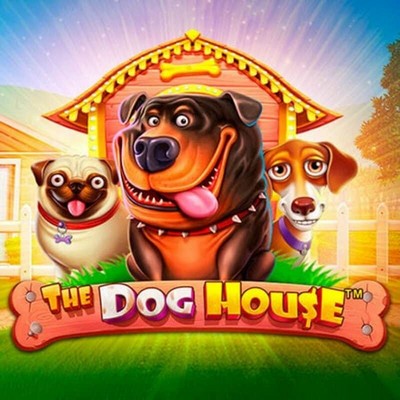the dog house