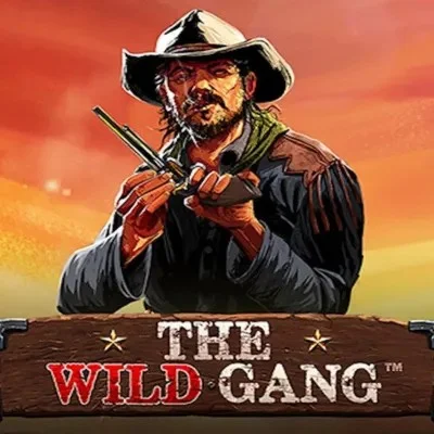 the wild gang